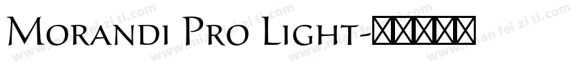 Morandi Pro Light字体转换